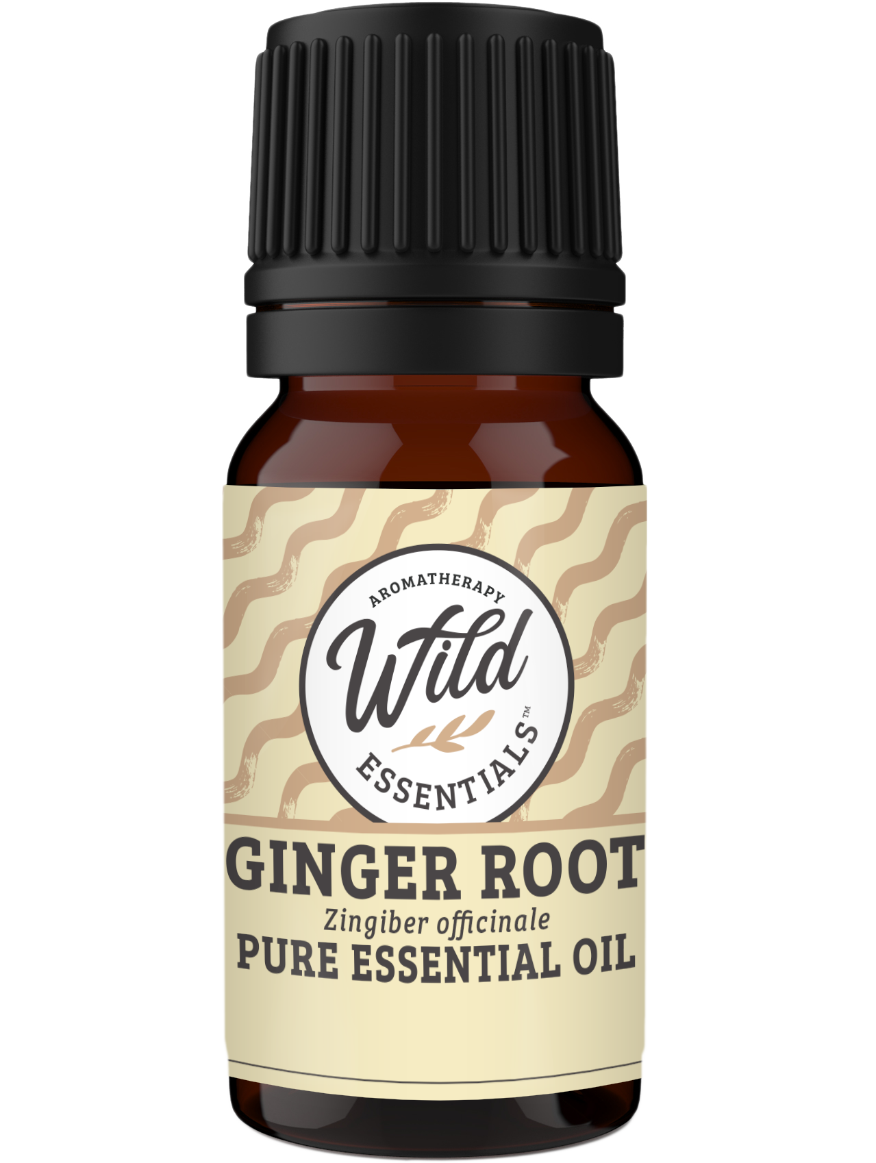 Essential Oils (Single Note) Ginger
