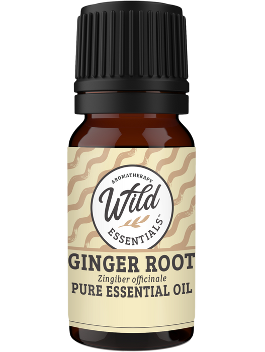 Essential Oils (Single Note) Ginger