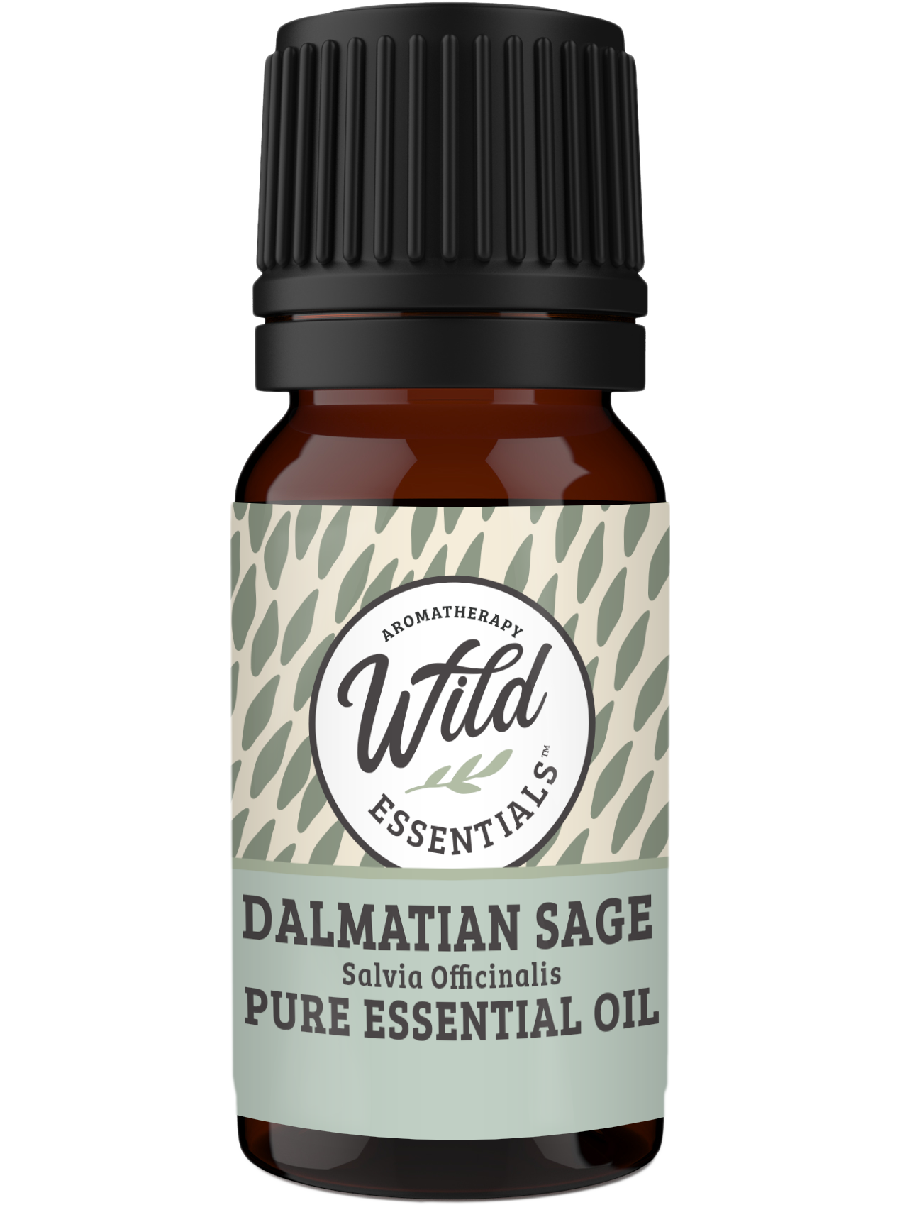Essential Oils (Single Note) DALMATIAN SAGE
