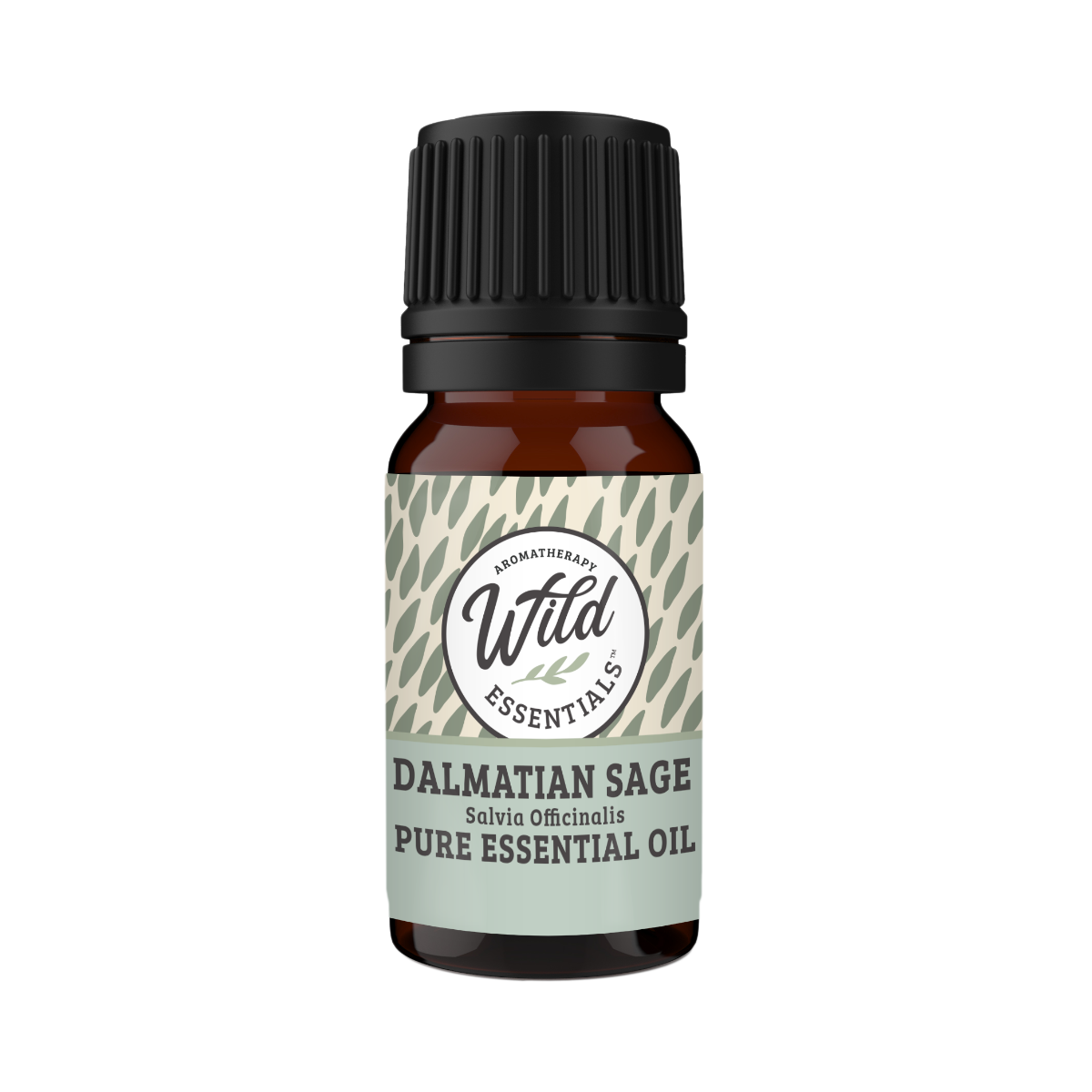 Dalmatian Sage Pure Essential Oil