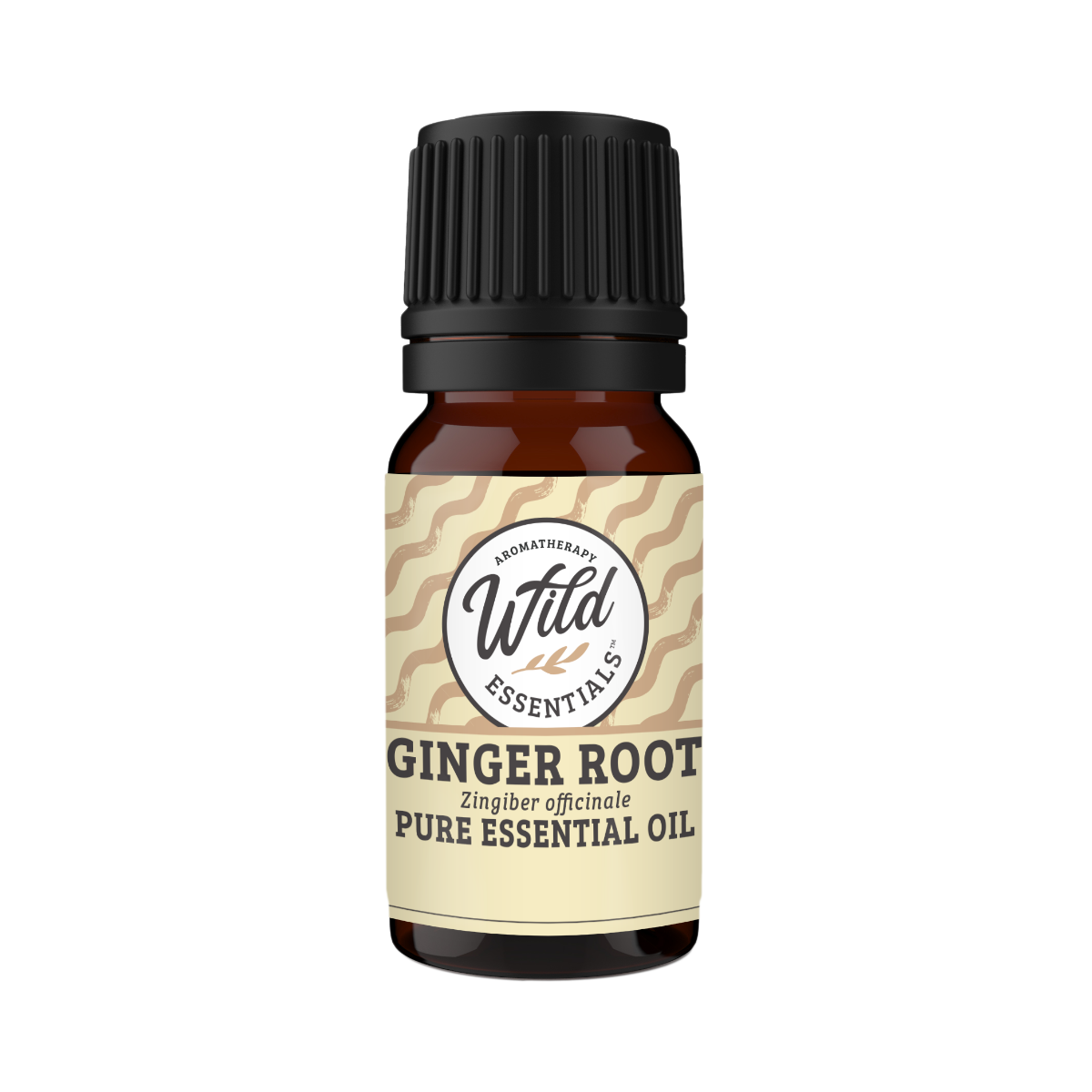 Ginger Pure Essential Oil