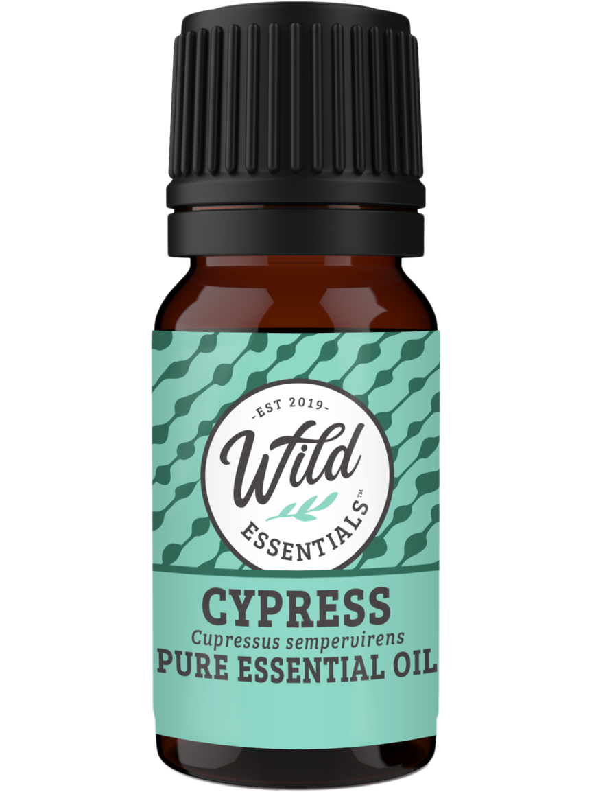 Essential Oils (Single Note) CYPRESS