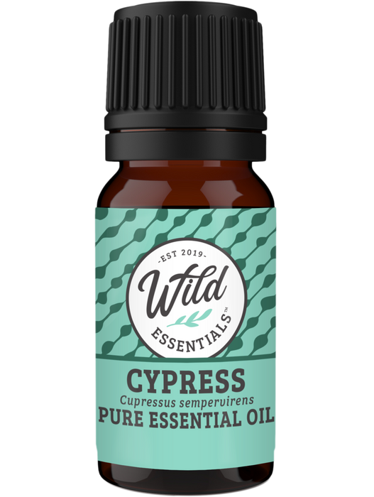 Essential Oils (Single Note) CYPRESS