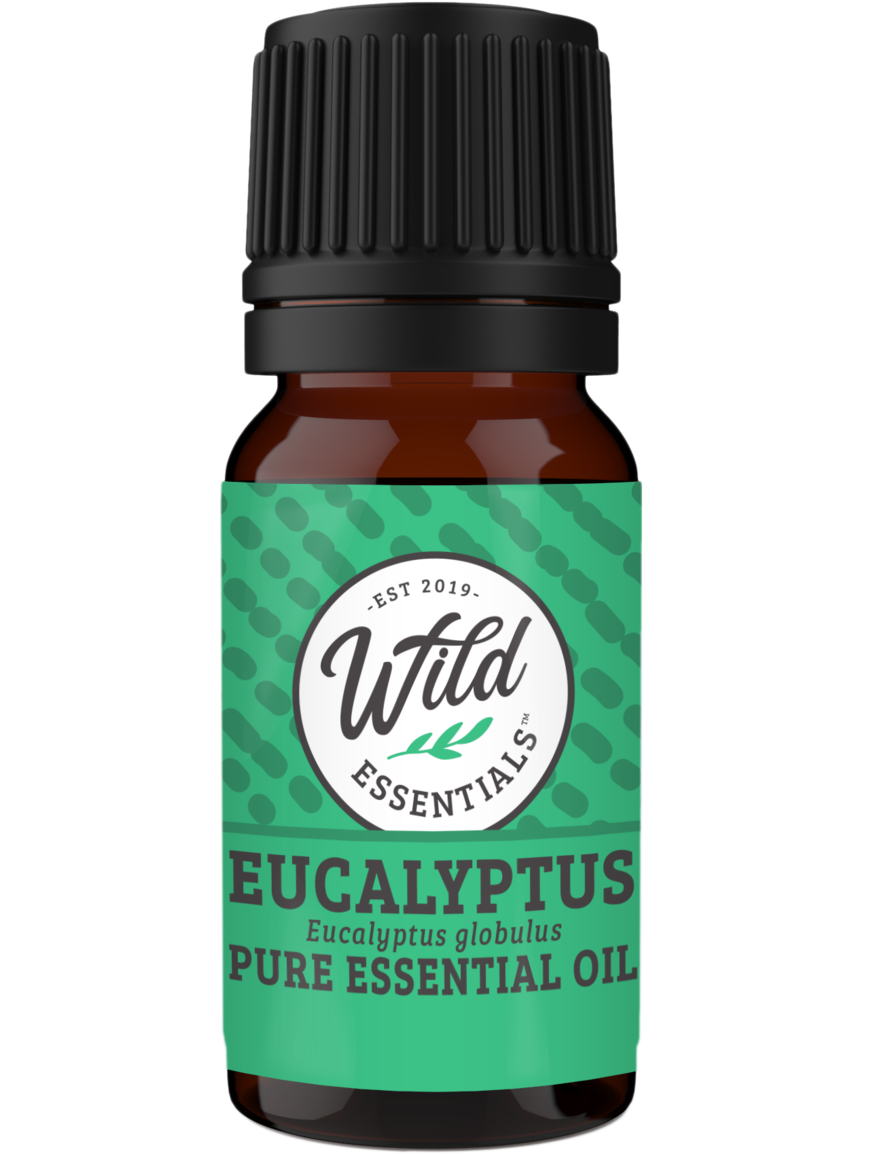 Essential Oils (Single Note) EUCALYPTUS