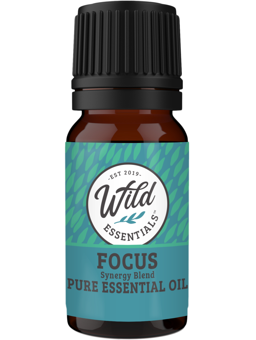 Essential Oils Synergy Blends FOCUS - CONCENTRATION