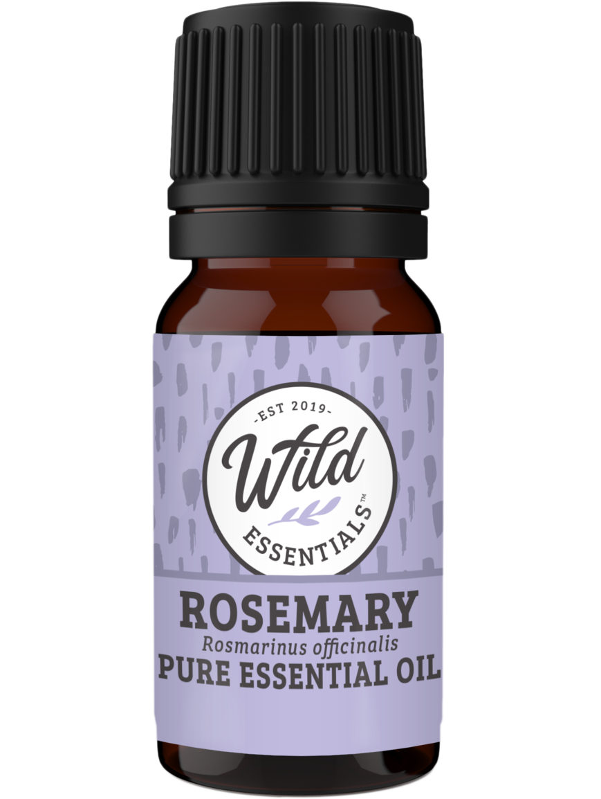Essential Oils (Single Note) ROSEMARY