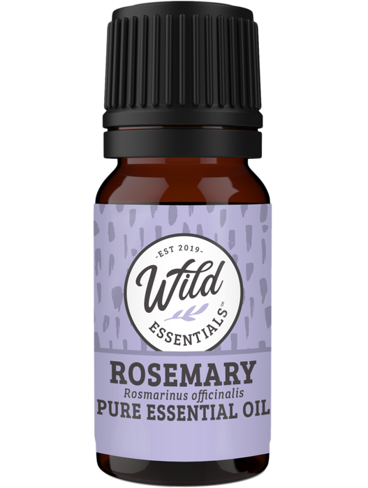 Essential Oils (Single Note) ROSEMARY