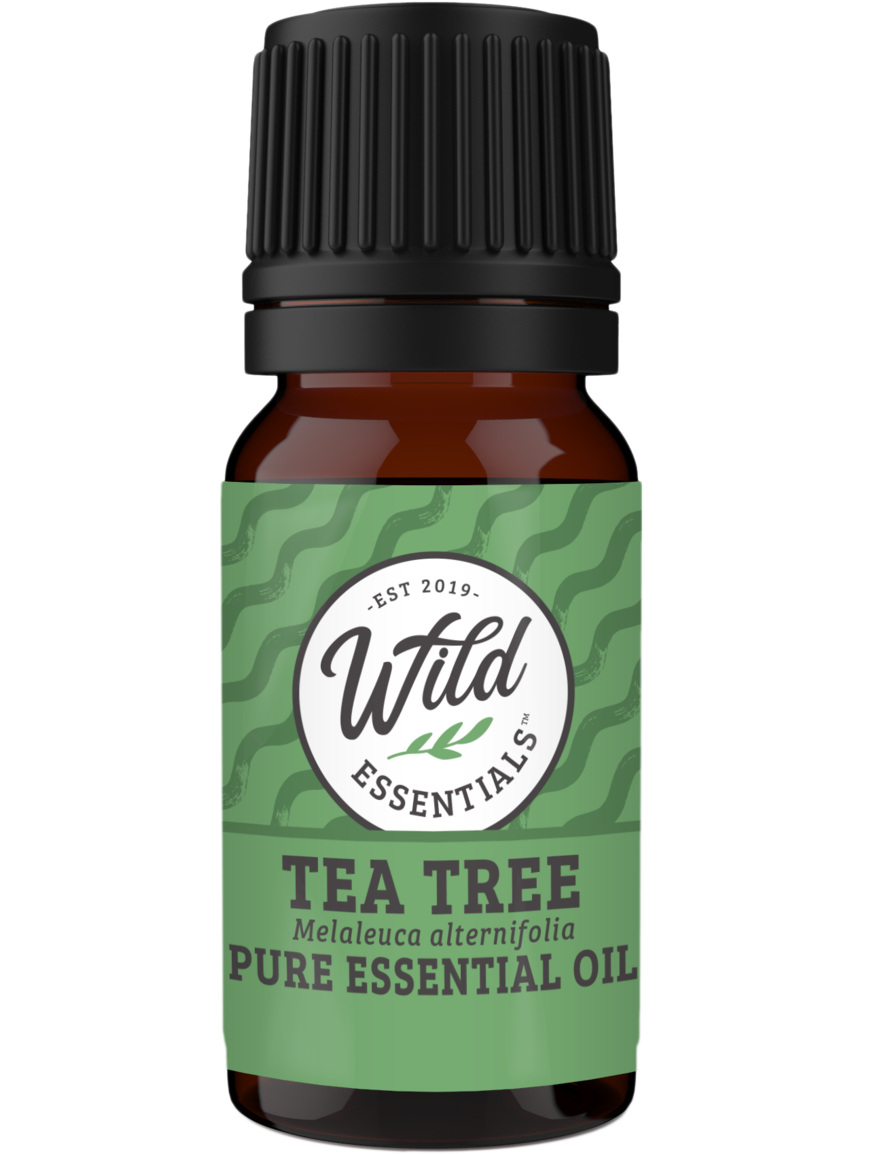Essential Oils (Single Note) TEA TREE