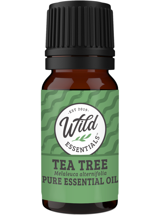 Essential Oils (Single Note) TEA TREE